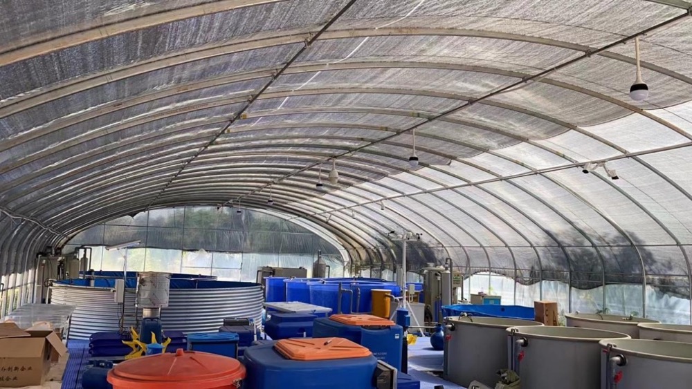 Screen-Shot-2016-04-03-at-12.05.11-PM