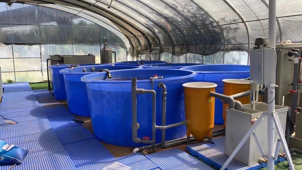 Screen-Shot-2016-04-03-at-12.05.11-PM